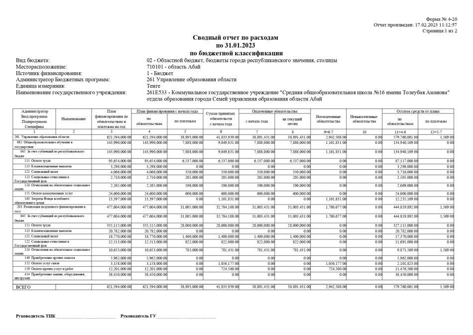Сводный отчет по расходом по 31.01.2023г